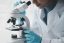 Top 5 Applications of Synthetic Peptides in Non-Clinical Research