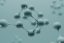 What Are Peptides? A Beginner’s Guide for Researchers